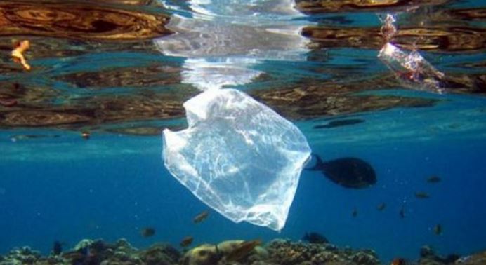 ban plastic ban plastic